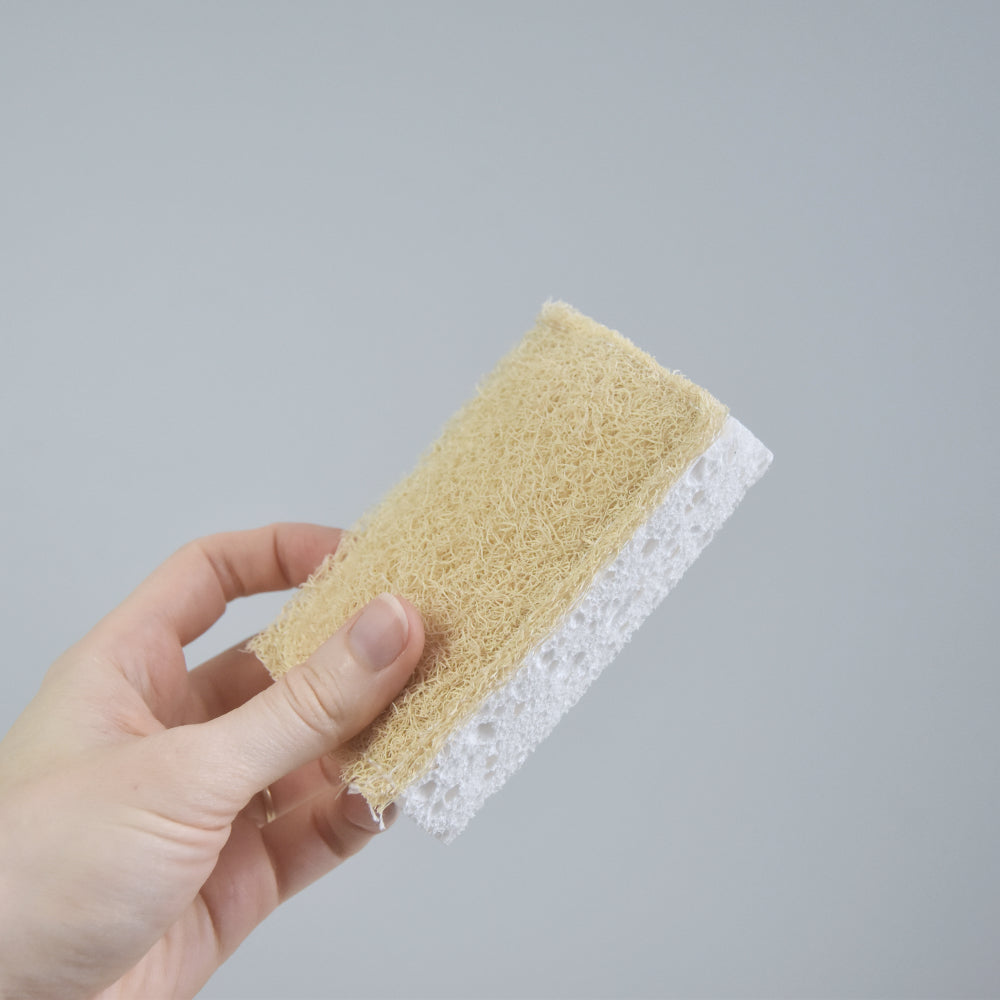 Eco Sponge