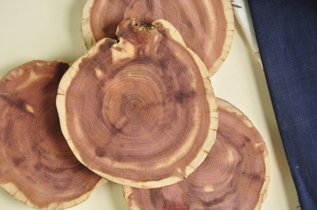 Wooden Cedar Coasters | Set of Four